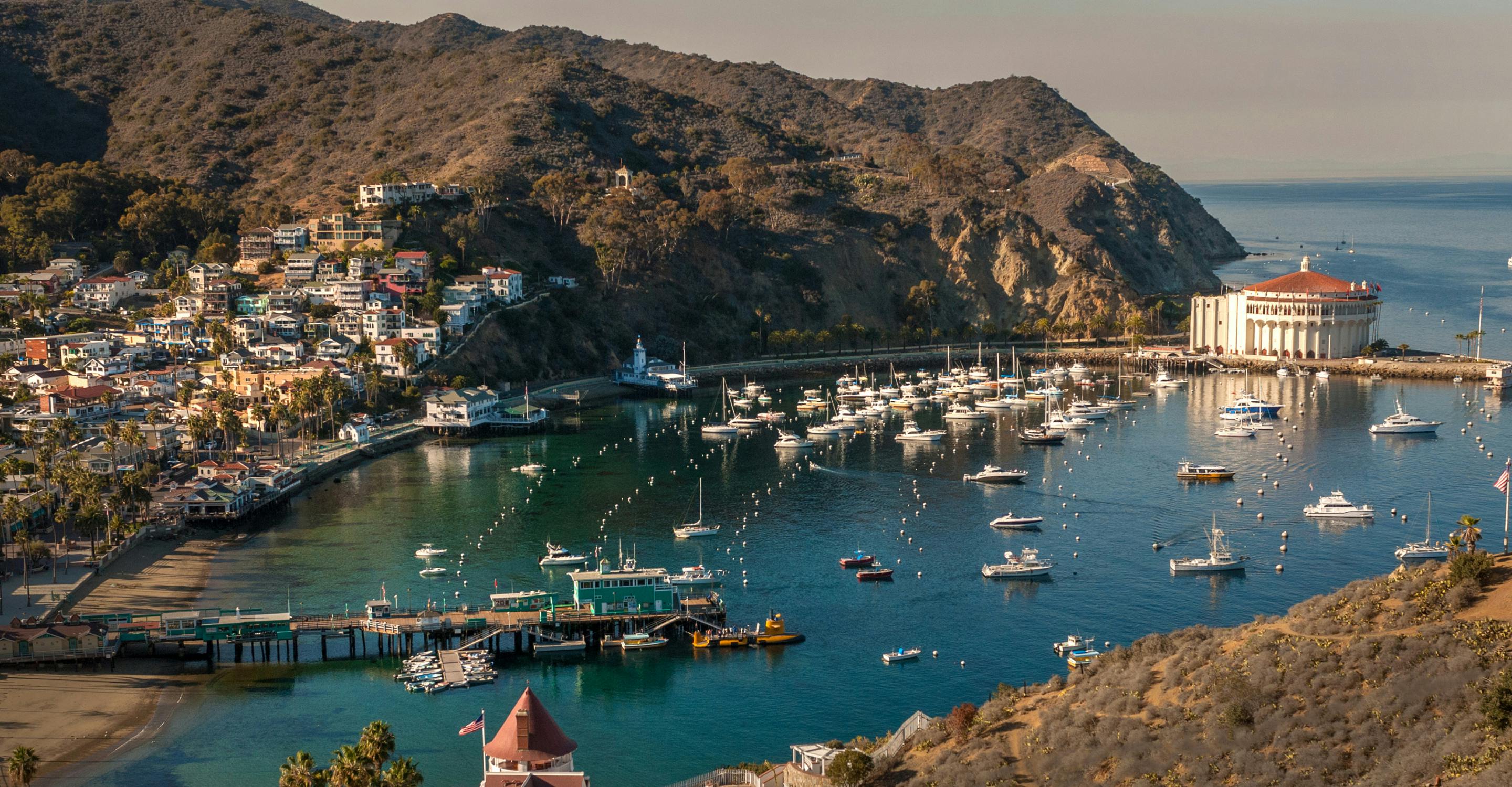 Brilliant Lady | Virgin Voyages