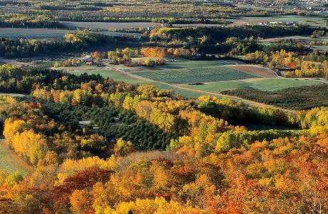 North American Shore Things