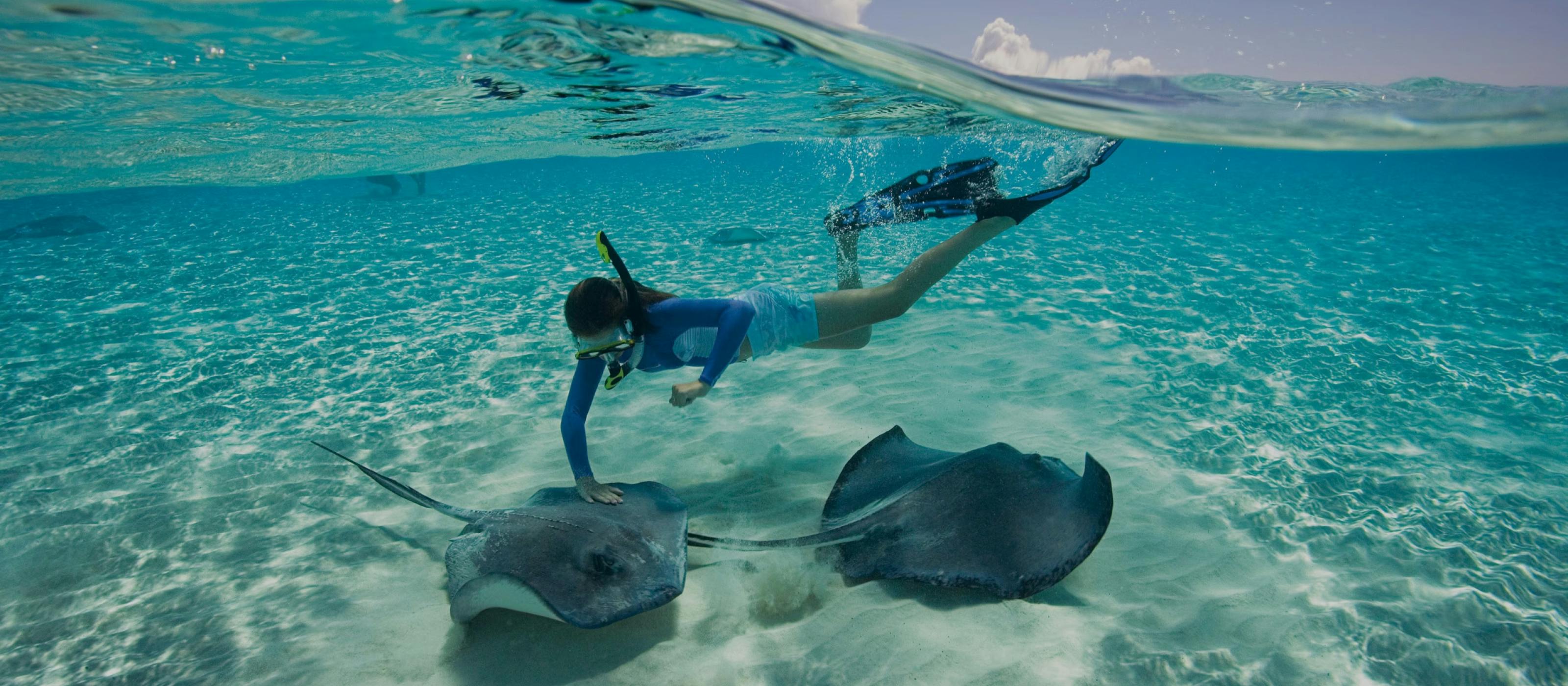 The Beach Club at Bimini