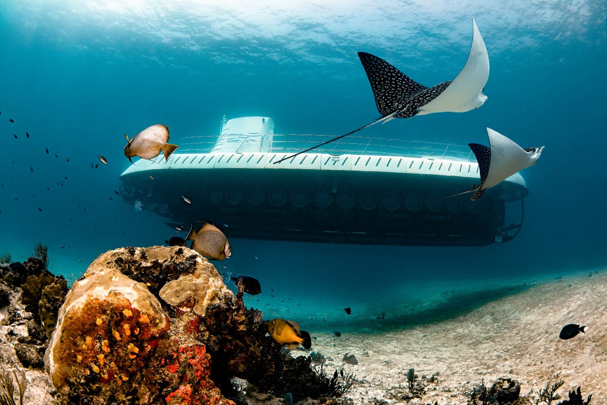 IMG-DEST-COZUMEL-MEXICO-Atlantis-Submarine-Expedition