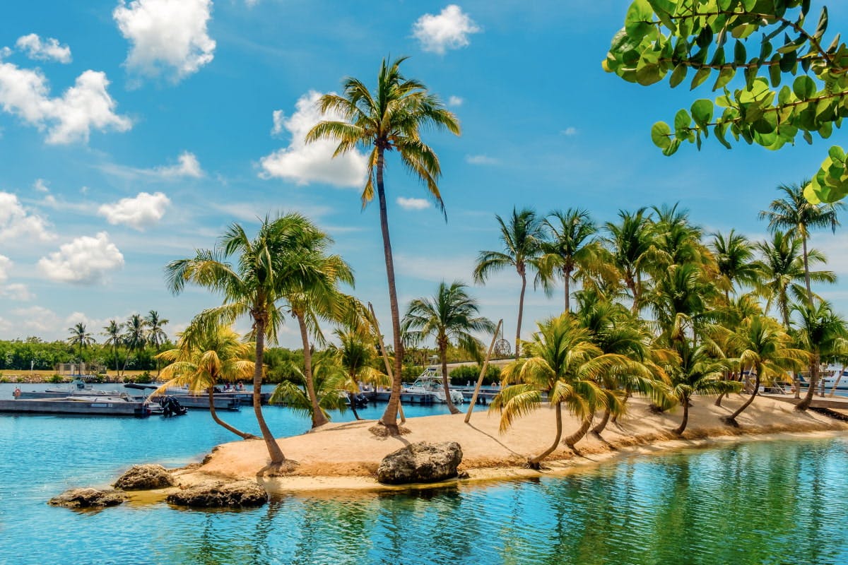 Mangrove Kayak Tour & Camana Bay