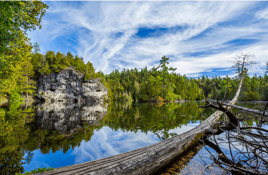 North American Shore Things